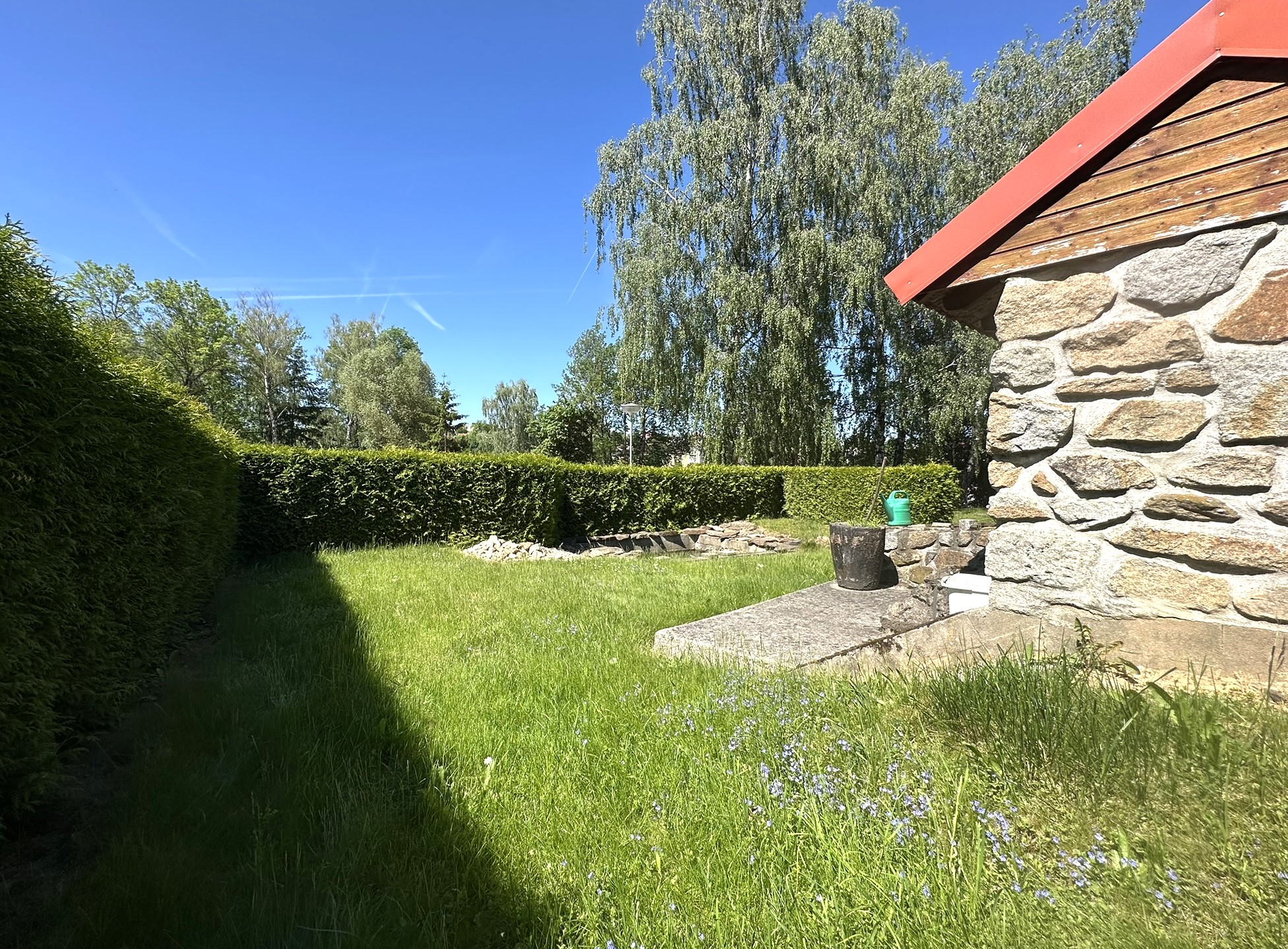 Fotografie